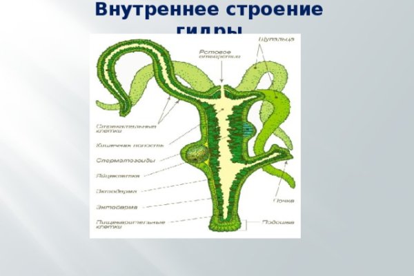 Гидра альтернатива